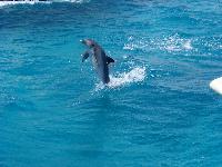 �������� �� ������� �������