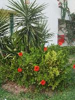 �������