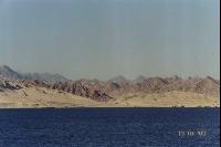 ��� ��������