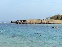 ����� ����. ����� Coraya