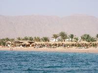 ��� �� ���� ����� �� ������� ����