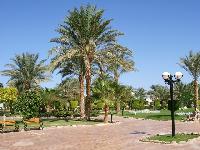 �������� ���������� �����