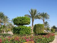 �������� ���������� �����