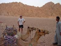 ��� � �����