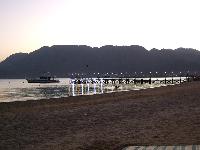 ��� �� ������ �������