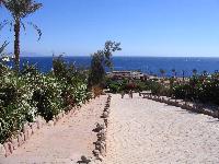 �� ������ � ����...