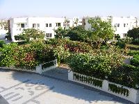 ��� �� ������ � 238