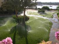 ��� � �������