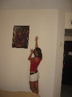 �������,sea gull