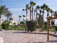 ������� 2006