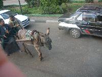 ��������� � �����