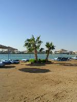 ��� ������