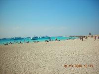 ���� �������� �������