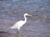 ������� ���������������������