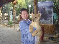 Sea Gull 2006 ��� ������