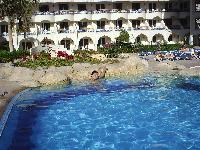 Sea Gull ������ 2006 ����