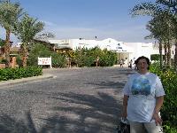 ����� ������ ����� ����