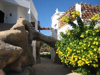 ������ 2006� ����� Melia Sinai 5* ���� ��� ����