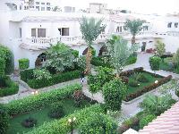 ���������� Waves