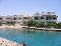 ��� �� ���� Waves � �����