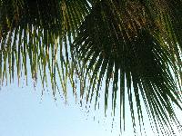 � ���� �����. �������!