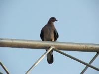 ����� ����- �� �����OFF��� (�������� ��������!!!)