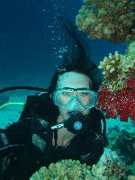 ������� �� ����!!!