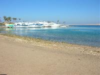 ����� ������� �����4* �������