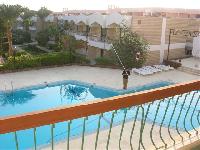 ������ ������