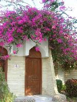 ���� � �������