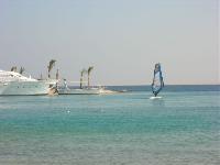 ���� ������ ���