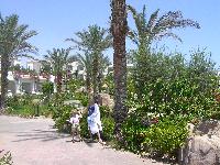 ����� � ������ ������