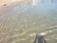 ����� �� �����