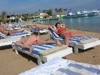 ����: �������