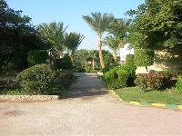 ����� � ����