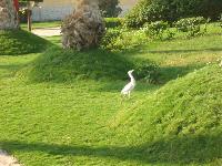 ������ � �����