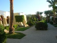 ����� � ����