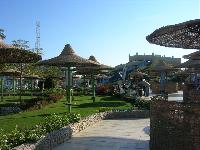 � ���������