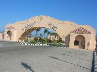 � ������ ���