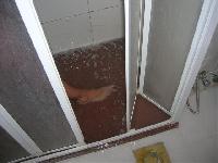 ����� � ����,���������� �����