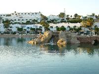 Domina- �����