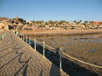 ���� ����� ����� �����