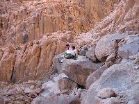 ����������