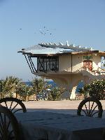 ��� �������