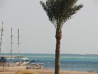 �������� ����