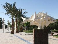 ������� ����