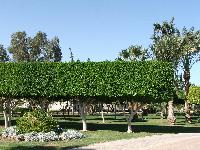 ������� � �������� :)