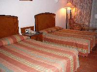 Reef Oasis �����