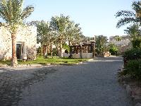 Reef Oasis ����������