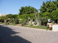 Reef Oasis ����������